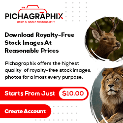 Stock Images For Phichagraphix